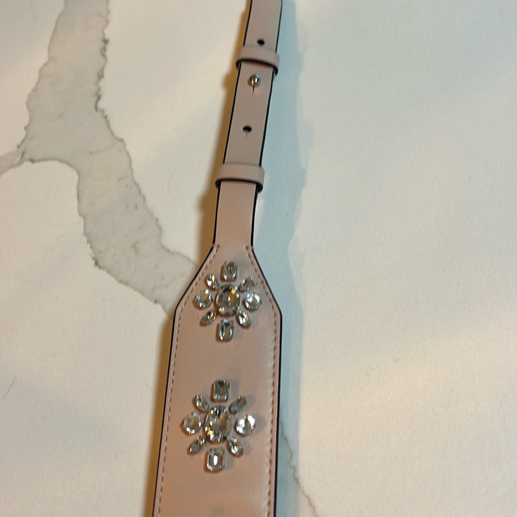 Bag Strap